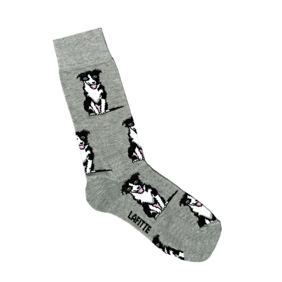 Border Collie Socks