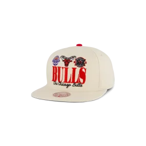 Bulls Reframe Retro Snapback HWC