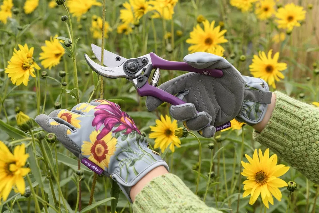 BURGON & BALL | RHS Asteraceae Gardening Gloves