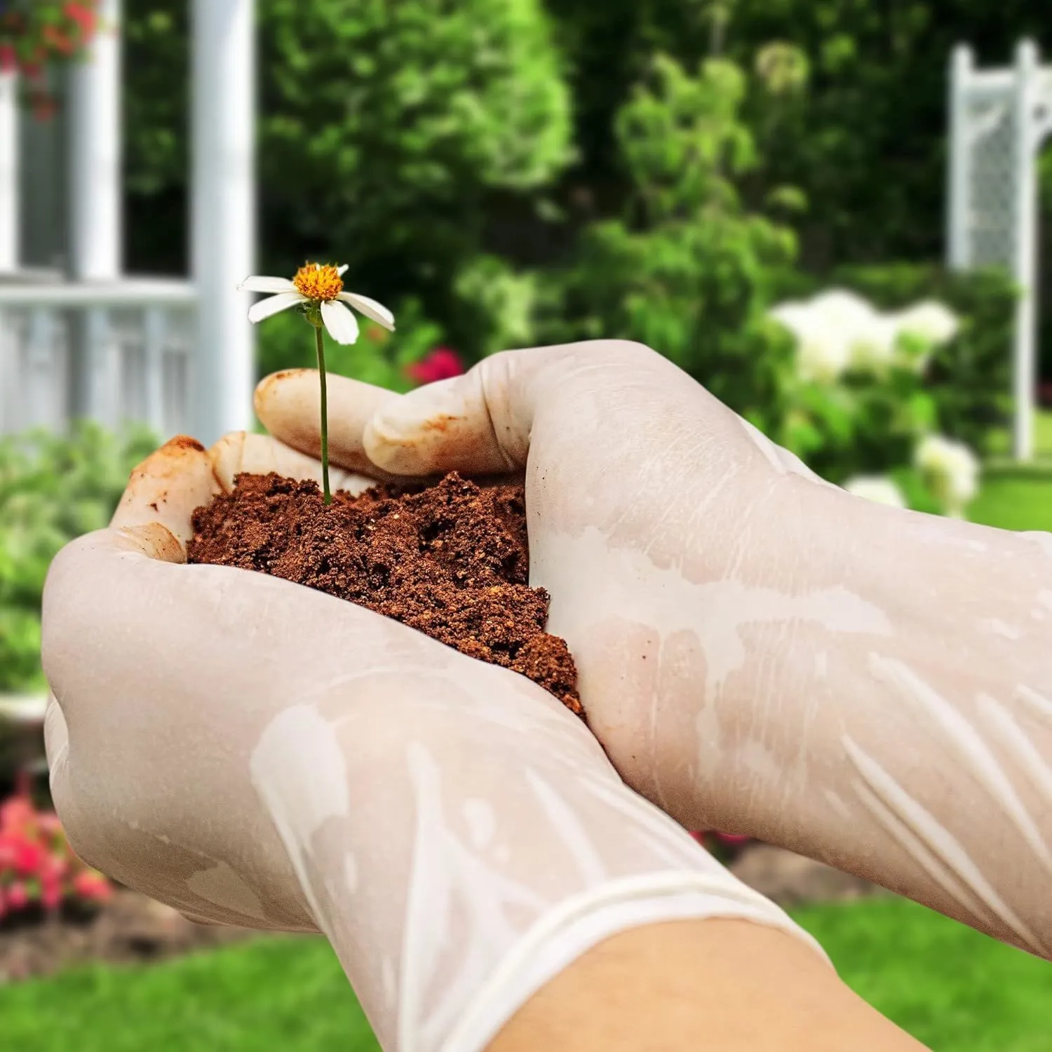 "APQ Supply's Vinyl Gloves: Versatile, Comfortable, and Professional Gloves for All Your Needs" - 1000 pack - Powder Free.