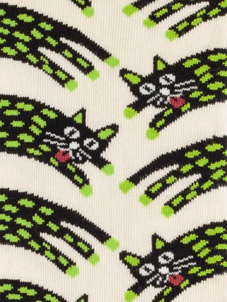 socks - scratch cats